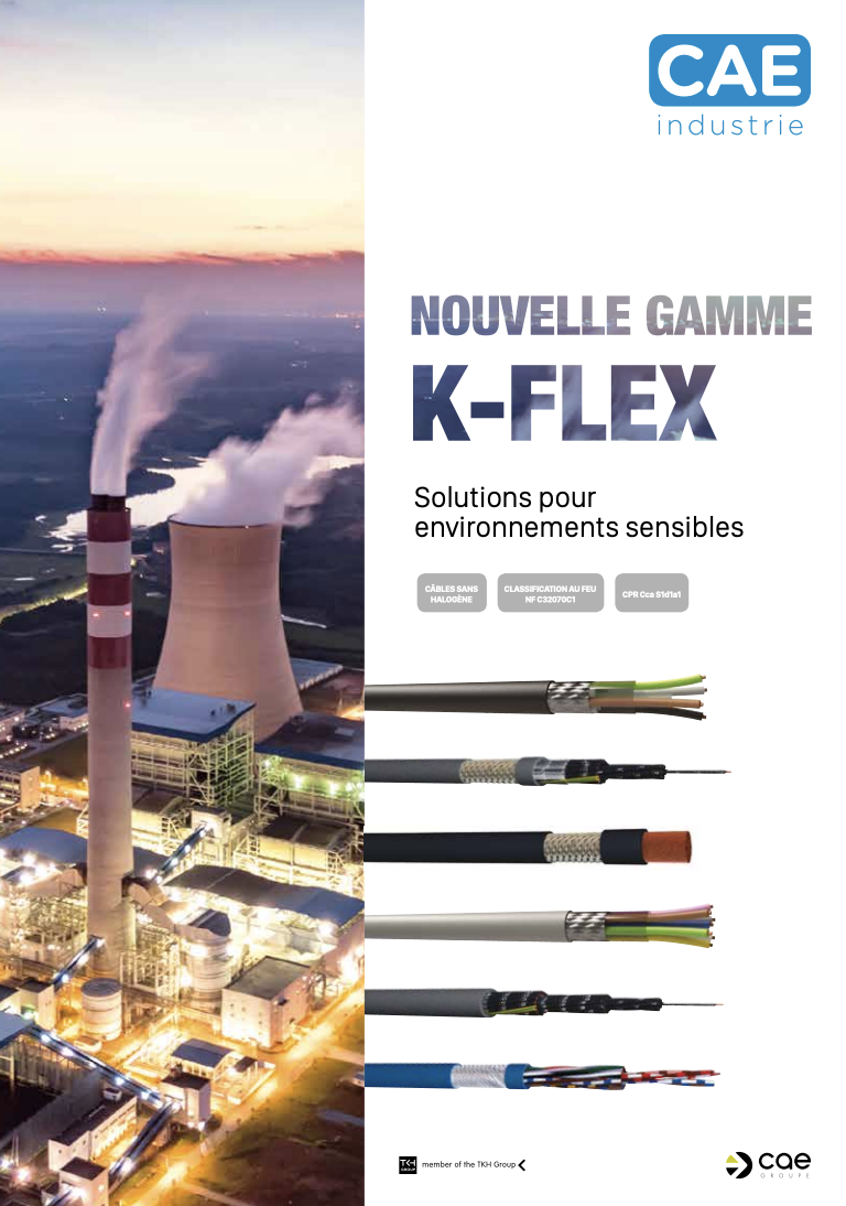 Flyer CAE Groupe - Industry